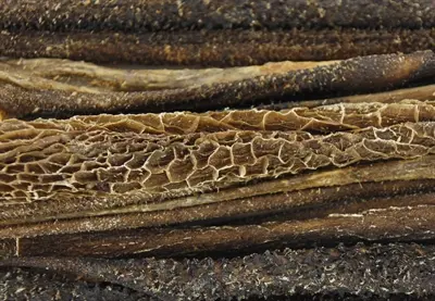 Petsnack pensstaafjes 15 cm 100 g – gedroogde runderpens - Afbeelding 5