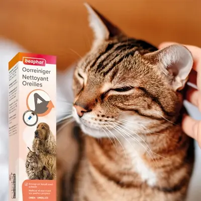 Beaphar oorreiniger met MSM 50 ml – met druppelpipet