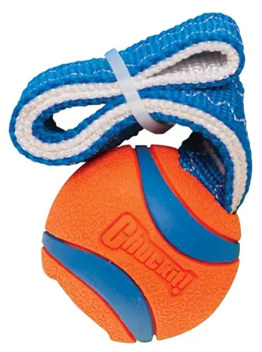 Chuckit Ultra Tug S 5 cm – rubberen hondenbal met nylon handvat
