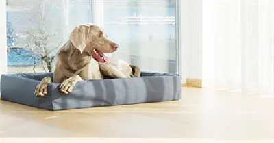 Bia Bed hondenmand grijs 120 x 100 x 15 cm – opstaande rand, maat 7