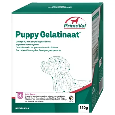 PrimeVal gelatinaat hond 500 g – collageenhydrolysaat en collageen type II