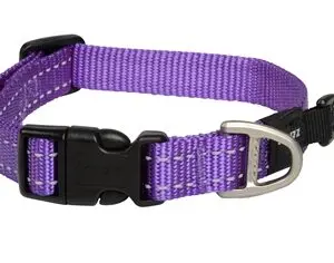 Rogz for Dogs Snake halsband paars 16 mm – nekomvang 26-40 cm - Afbeelding 1