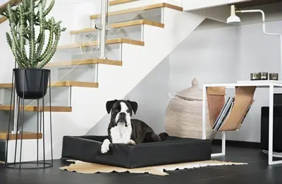 Bia Bed hondenmand zwart 70 x 60 x 15 cm – opstaande rand, maat 3