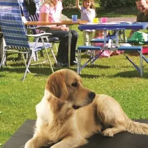 Bia Bed matras ligbed zwart 73 x 50 cm – polyether kern - Afbeelding 5