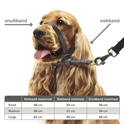 Gentle Leader hoofdhalsband zwart medium – tegen trekken aan de riem