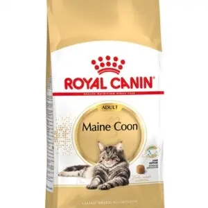 Royal Canin Maine Coon kattenvoer 4 kg – vanaf 15 maanden - Afbeelding 1