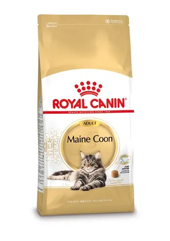 Royal Canin Maine Coon kattenvoer 4 kg – vanaf 15 maanden