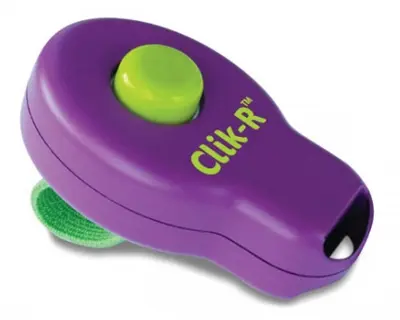 Clik-R clicker voor hondentraining paars/groen - Afbeelding 2