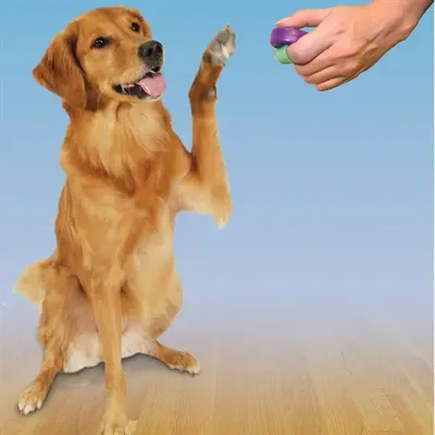 Clik-R clicker voor hondentraining paars/groen - Afbeelding 3