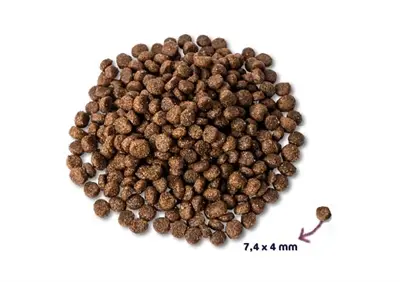 Renske puppyvoer Super Premium kip en lam 2 kg – omega-3 DHA - Afbeelding 4