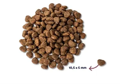 Renske hondenvoer Adult graanvrij verse kip 12 kg - Afbeelding 4