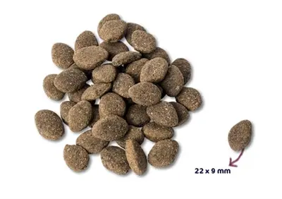 Renske hondenvoer Adult lam graanvrij hypoallergeen 2 kg - Afbeelding 4