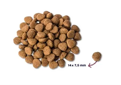 Renske hondenvoer Adult kalkoen en eend 2 kg - Afbeelding 4