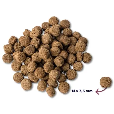 Renske hondenvoer Adult oceaanvis hypoallergeen 12 kg - Afbeelding 4