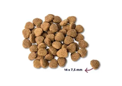 Renske hondenvoer Super Premium Adult Eend/Konijn 12 kg - Afbeelding 4