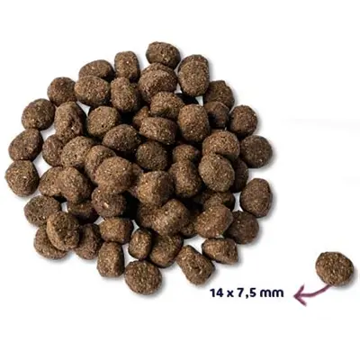 Renske hondenvoer Senior kalkoen graanvrij 12 kg - Afbeelding 4