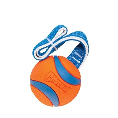 Chuckit Ultra Tug L 27 x 7 x 7 cm – tennisbal met werpkoord