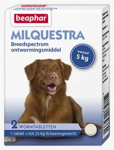 Beaphar Milquestra ontwormingstabletten hond vanaf 5 kg rundvlees – 2 stuks