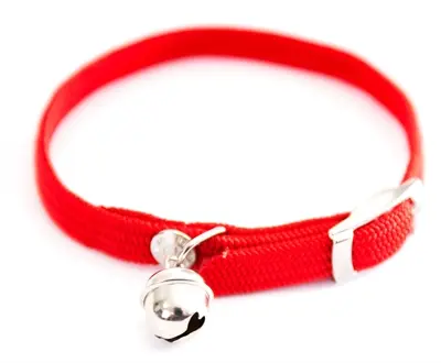Martin kattenhalsband elastisch nylon rood 30 x 1 cm – met belletje