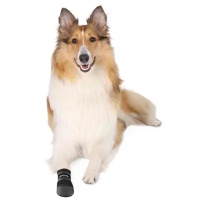 Trixie Walker Care beschermschoenen hond zwart XXXL – 2 stuks - Afbeelding 4