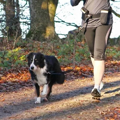 Trixie heupriem met jogginglijn zwart – reflecterend, tailleband 60-120 cm - Afbeelding 4