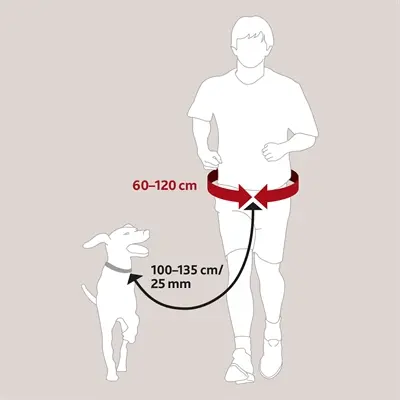 Trixie heupriem met jogginglijn zwart – reflecterend, tailleband 60-120 cm - Afbeelding 5