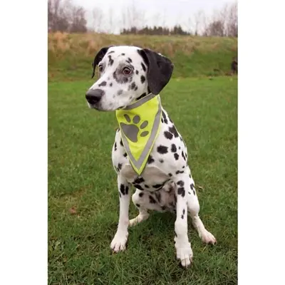 Trixie reflecterende bandana hond neongeel L-XL – nekomvang 43-60 cm - Afbeelding 5
