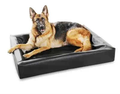 Bia Bed orthopedische hondenmand zwart 120 x 100 x 15 cm – maat 7 - Afbeelding 5
