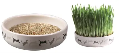 Trixie kattengraszaad 50 g in keramische schaal 15 x 15 x 4 cm