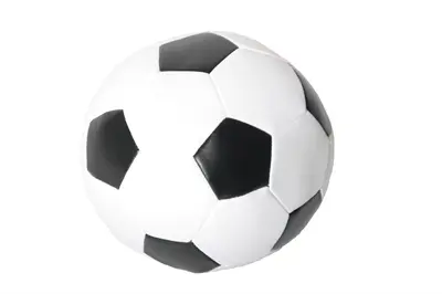 Martin zachte voetbal 15 cm – lichtgewicht hondenspeelgoed