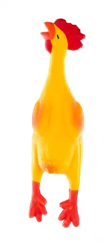 Martin latex hondenspeelgoed kip 22 cm
