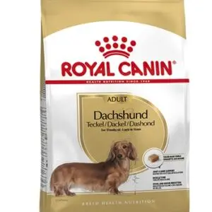 Royal Canin Dachshund Adult hondenvoer 1,5 kg – voor gewrichten - Afbeelding 1