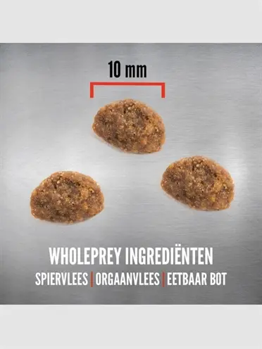 Orijen kattenvoer Original Cat 5,4 kg – kip, kalkoen en vis - Afbeelding 5