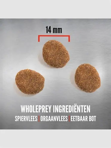 Orijen hondenvoer Whole Prey Regional Red 6 kg – rood vlees - Afbeelding 5