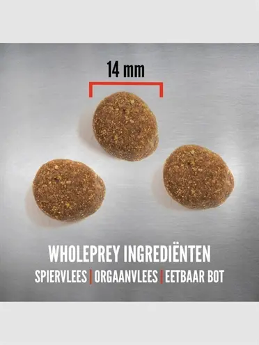 Orijen hondenvoer Puppy Large Breed 11,4 kg – voor grote rassen - Afbeelding 3
