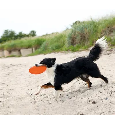 Trixie Dog O Soar frisbee hond natuurrubber 18 cm – assorti - Afbeelding 5