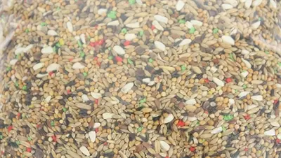 De Vries grote parkietenvoer 2,5 kg – granen en zaden - Afbeelding 5