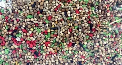 De Vries tropisch zaad 2,5 kg – met fruitkorrels - Afbeelding 4