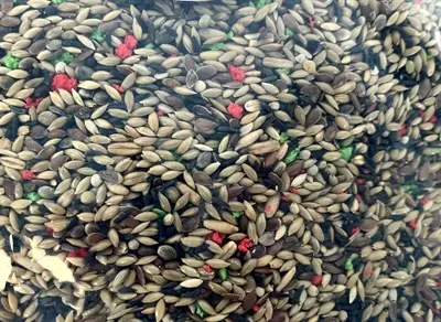 De Vries Zangzaad 2.5 Kg Kanaries 3 L - Afbeelding 2