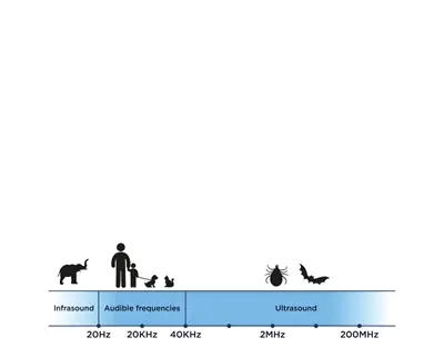 Tickless teek- en vlooienafweer hond en kat zwart – ultrasoon, geurloos - Afbeelding 7