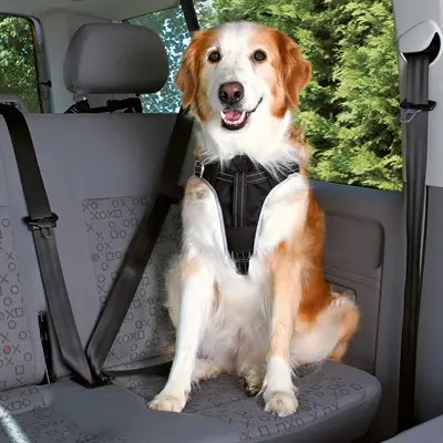 Trixie autotuig hond Dog Protect zwart 65-80 cm x 2,5 cm - Afbeelding 4