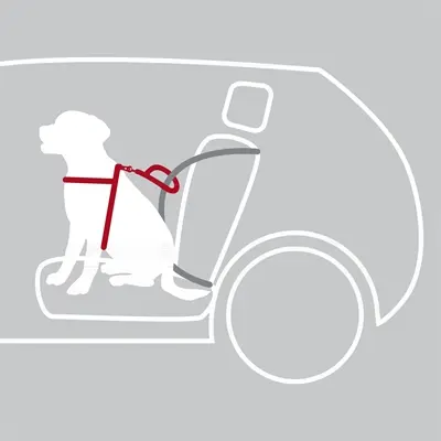 Trixie autotuig hond Dog Protect zwart 65-80 cm x 2,5 cm - Afbeelding 5