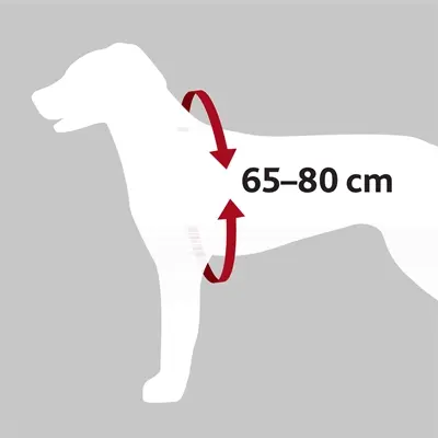 Trixie autotuig hond Dog Protect zwart 65-80 cm x 2,5 cm - Afbeelding 6