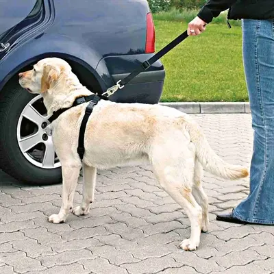 Trixie hondentuig auto inclusief gordel zwart 70-90 cm – met korthouder - Afbeelding 8