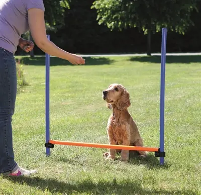 Trixie Dog Activity agility horde blauw/oranje 123 x 115 x 3 cm - Afbeelding 4