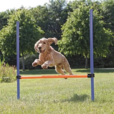 Trixie Dog Activity agility horde blauw/oranje 123 x 115 x 3 cm - Afbeelding 5