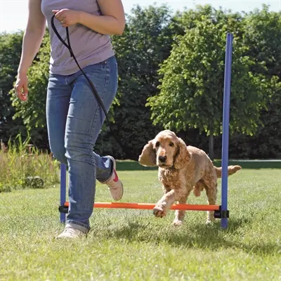 Trixie Dog Activity agility horde blauw/oranje 123 x 115 x 3 cm - Afbeelding 6