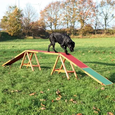 Trixie Dog Activity agility hondenloop hout 456 x 64 x 30 cm