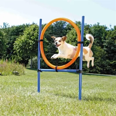 Trixie Dog Activity agility ring blauw/oranje 65 x 3 x 115 cm – kunststof