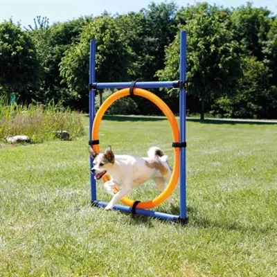 Trixie Dog Activity agility ring blauw/oranje 65 x 3 x 115 cm – kunststof - Afbeelding 4